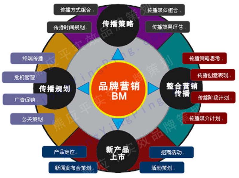 网站建设与管理:未来职场的热门选择