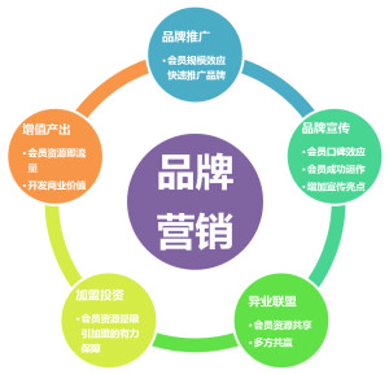 如何让您的网站在众多竞争者中脱颖而出？今天，我们通过具体案例来解析网站建设与推广的最佳实践。